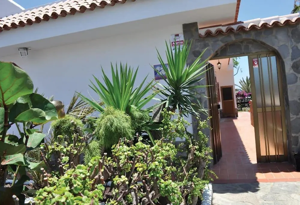 Los Cisnes Encantadora Casa Con Jardin Y Estudio Vista Al Mar El Médano Semesterbostad