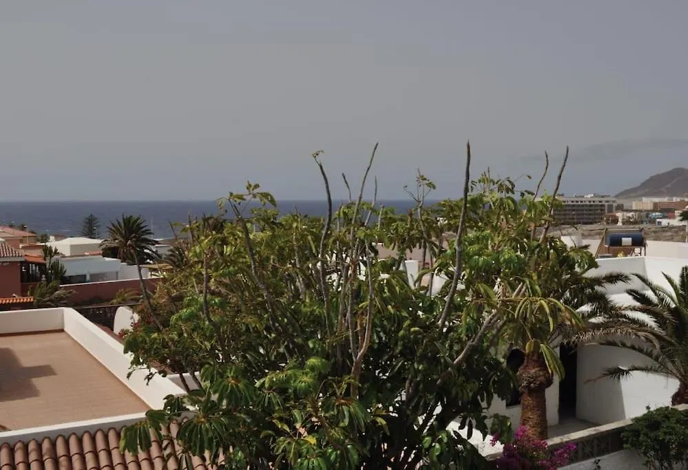 Semesterbostad Los Cisnes Encantadora Casa Con Jardin Y Estudio Vista Al Mar El Médano Spanien