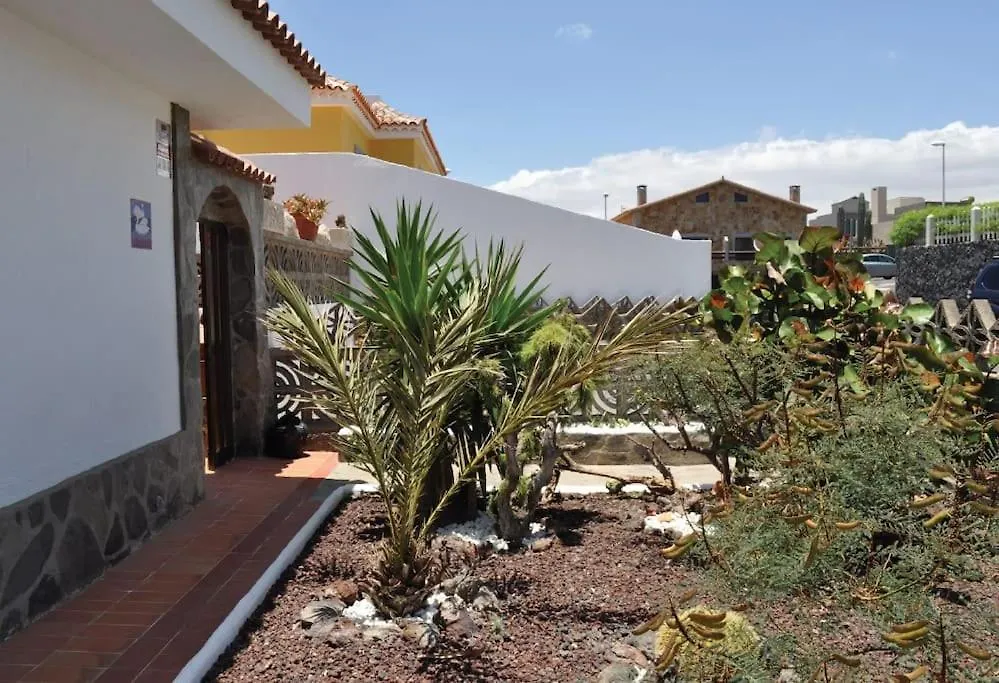 Los Cisnes Encantadora Casa Con Jardin Y Estudio Vista Al Mar El Médano